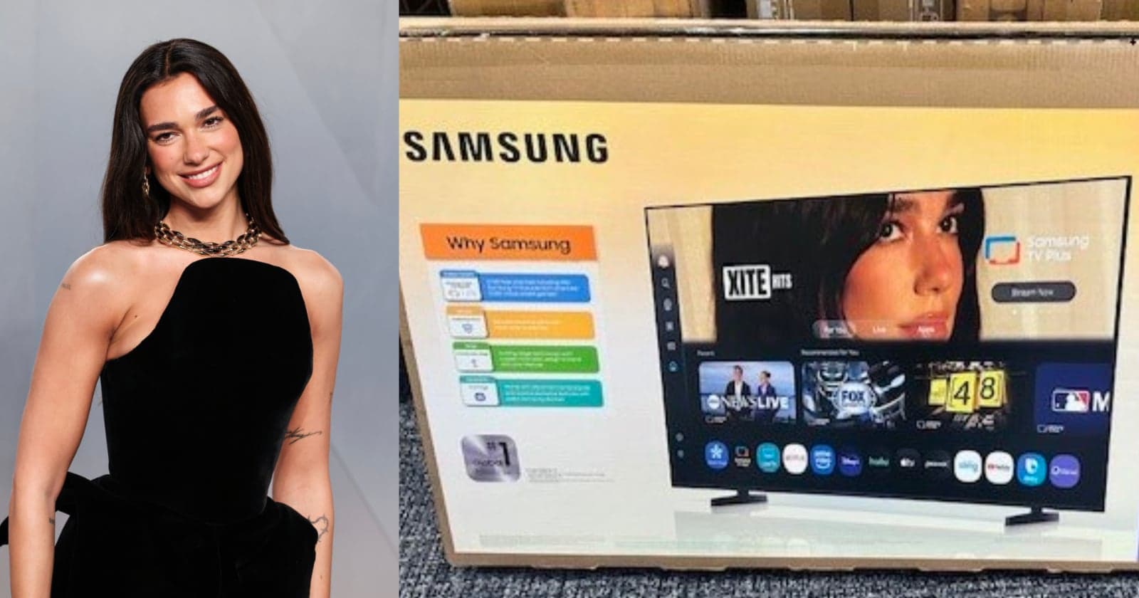 Dua Lipa Sues Samsung for $15 Million Over Her Photo on TV Boxes
