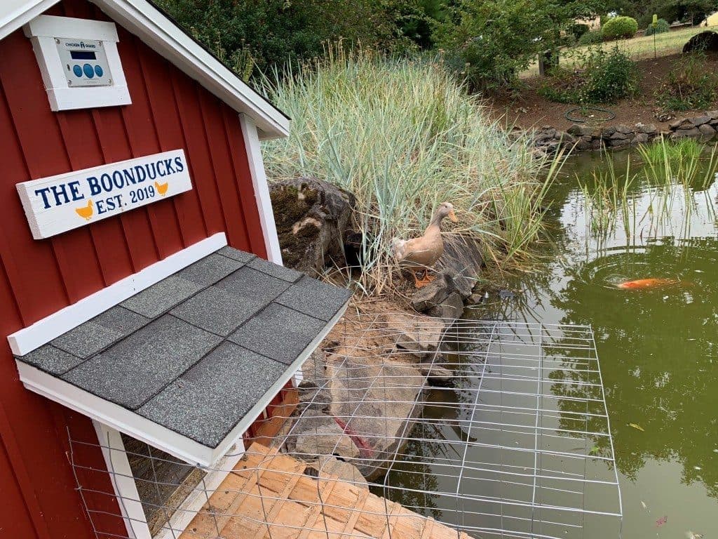 23 Duck House Plans With Tutorials That You Can Build In A Weekend