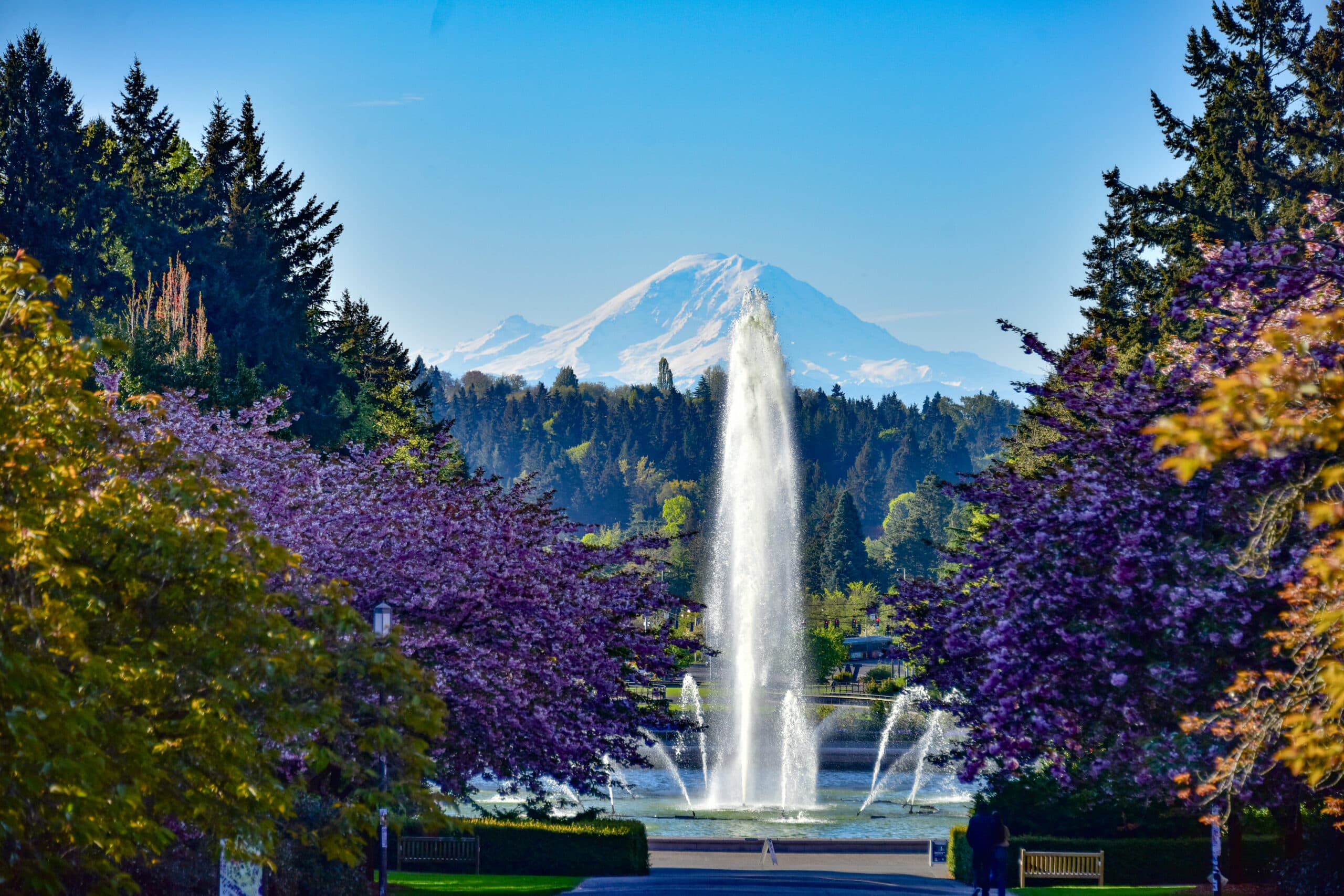 UW is a top producer of Peace Corps volunteers