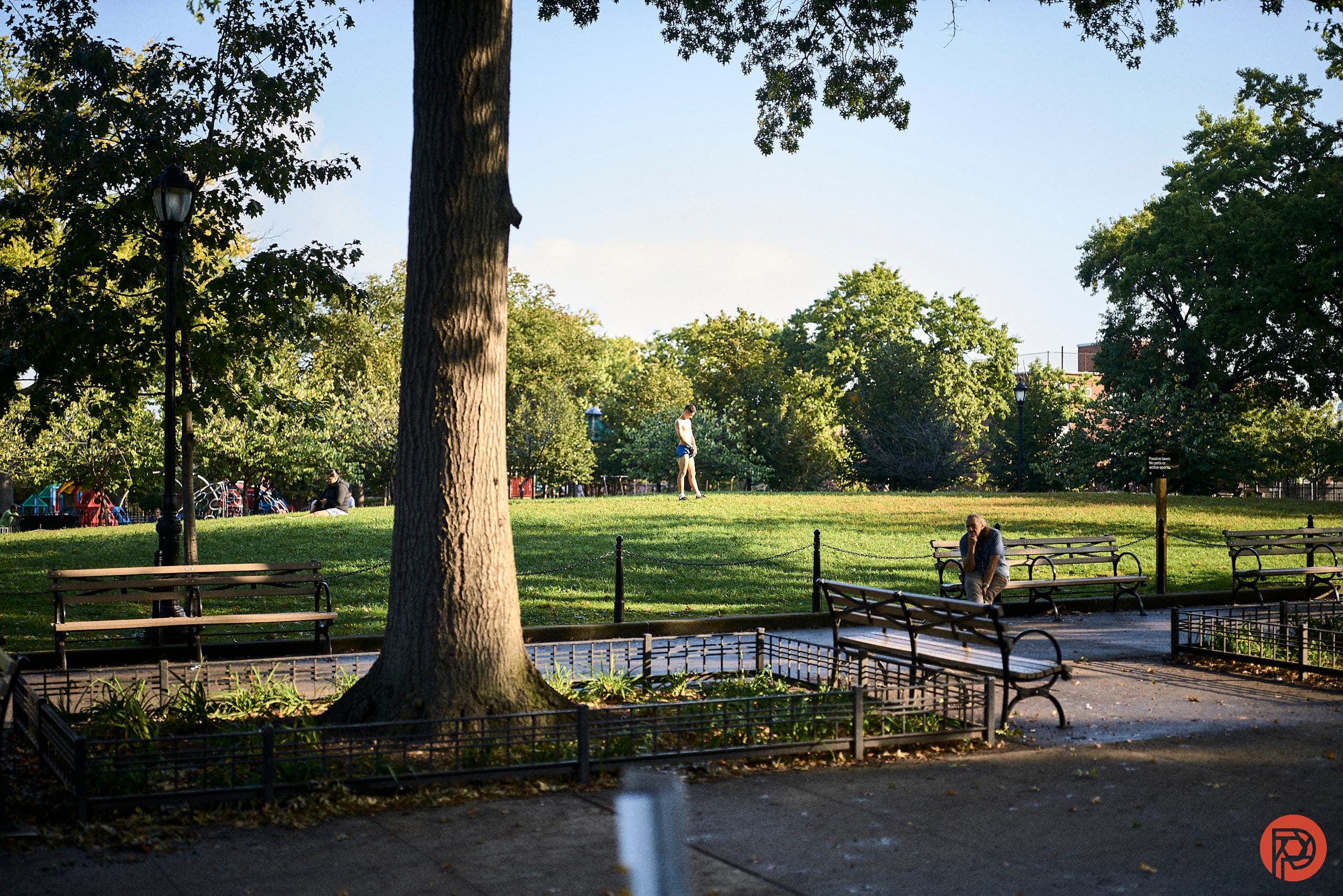 Want Free Presets? We’ll Give Them to You!